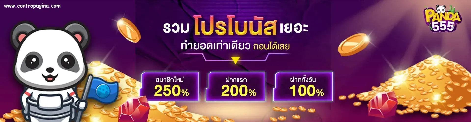 แพนด้า555โค้ด
